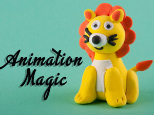 Animation Stop Motion